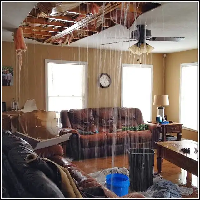 Water Damage Restoration services in Vermillion, SD