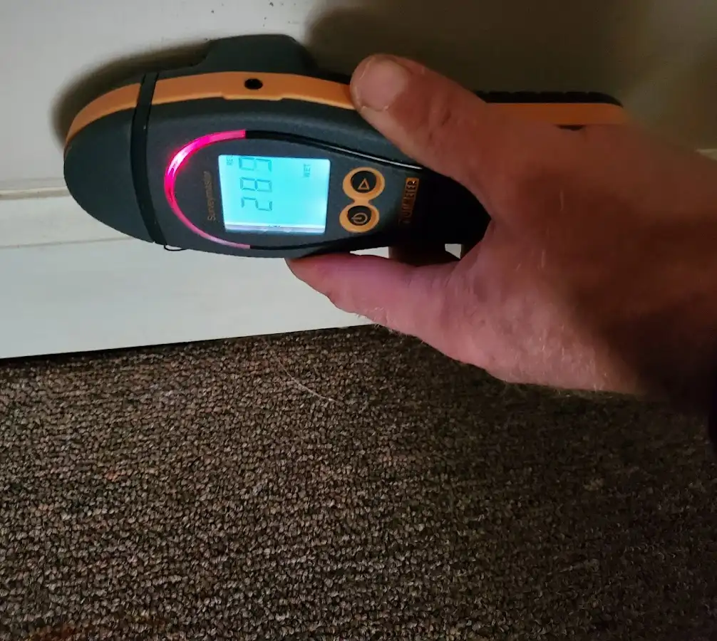 Moisture detection at baseboard during Mold Inspection & Testing in Vermillion